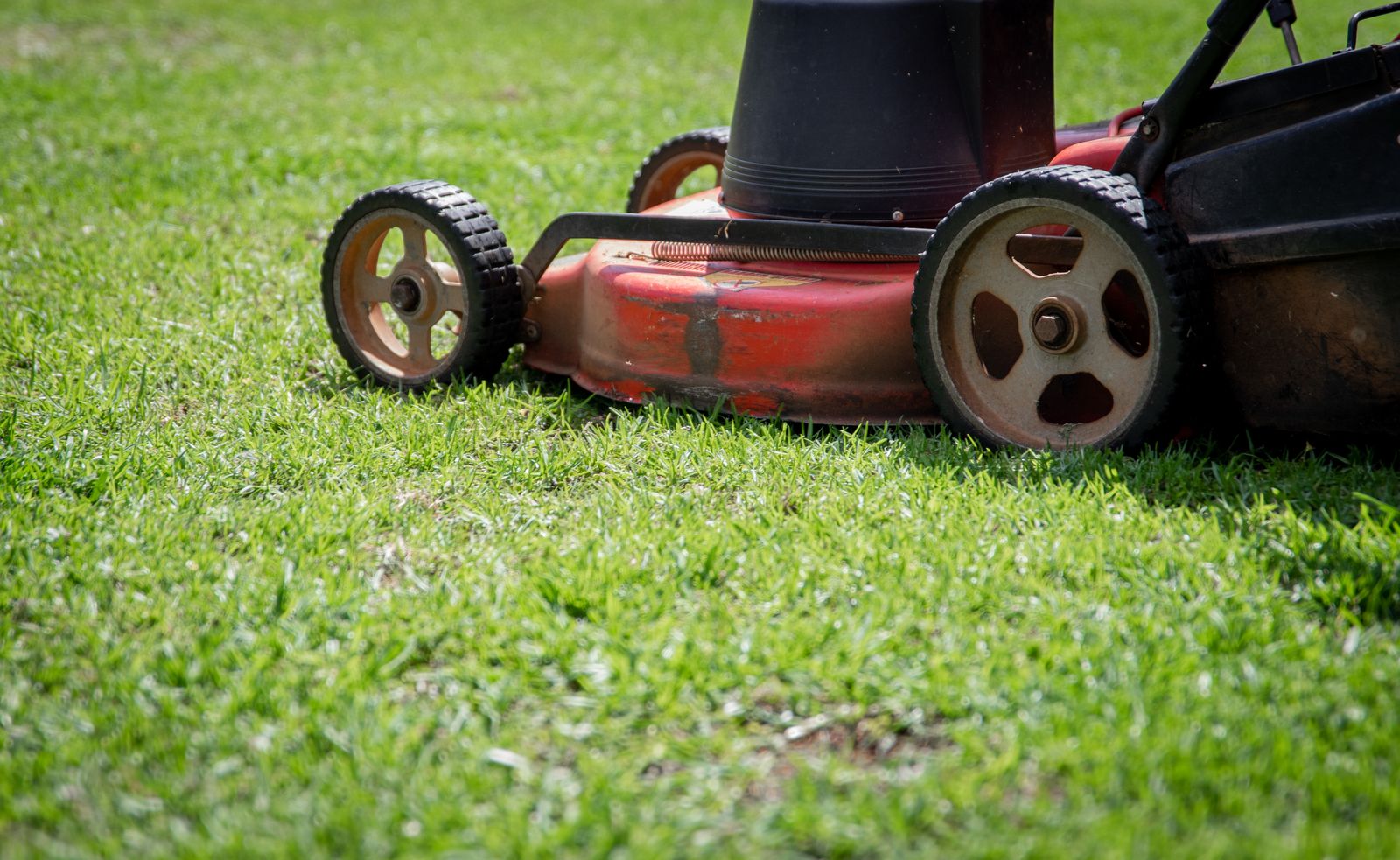A lawn mower cutting a stripe into green grass