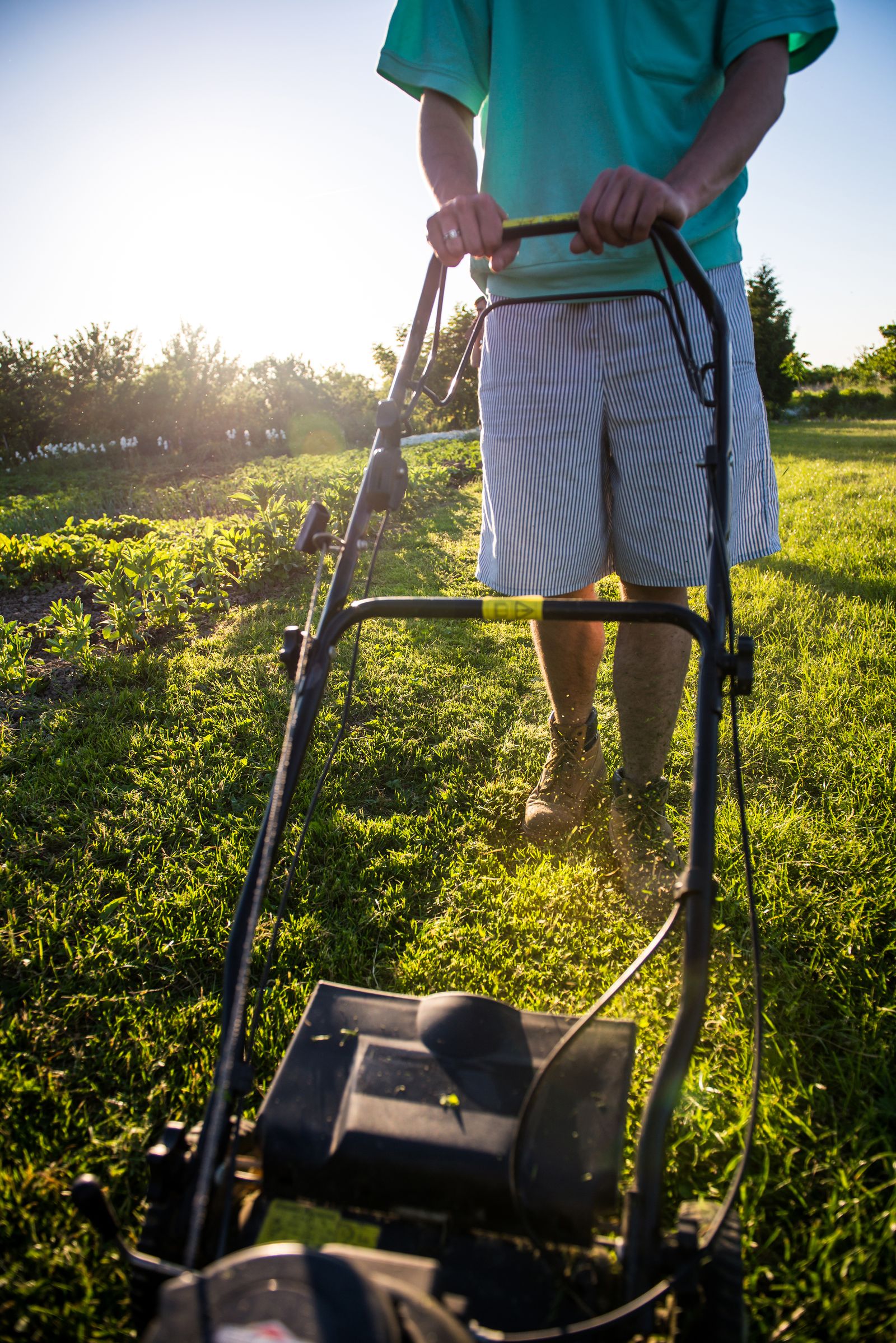 A person mowing a green lawn with a push mower in late-afternoon light